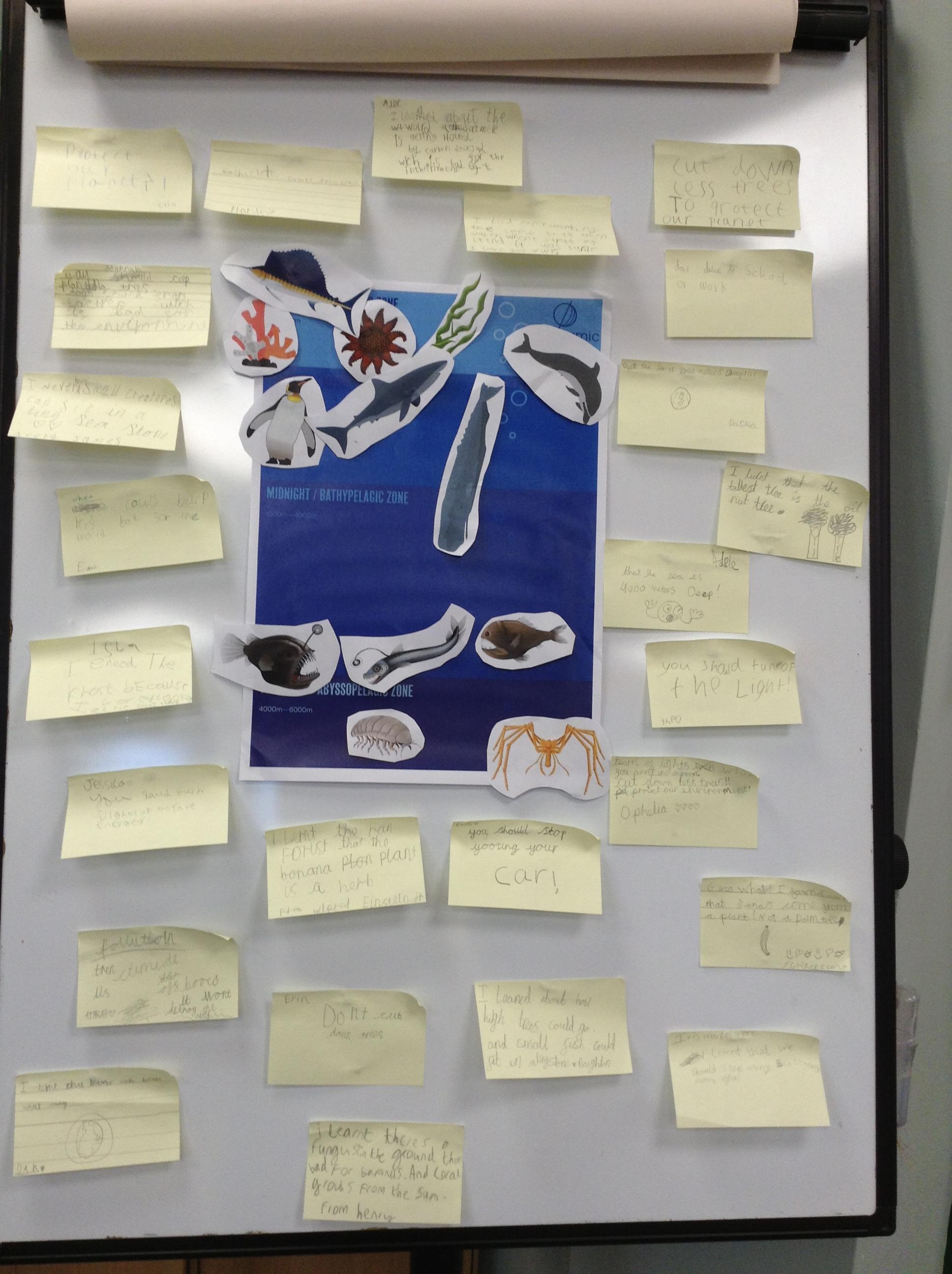 What did you learn today?