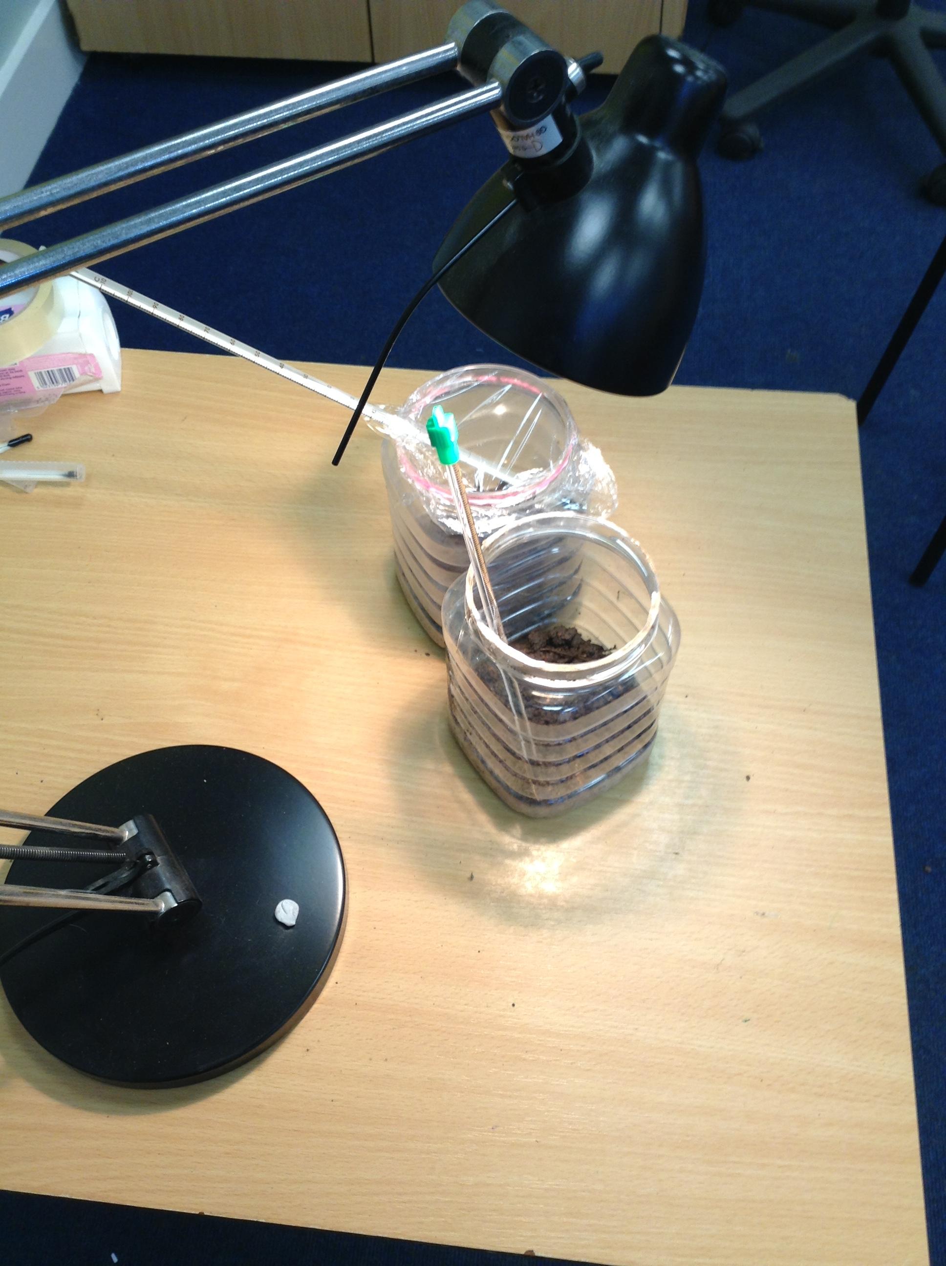 Investigating the Greenhouse Effect