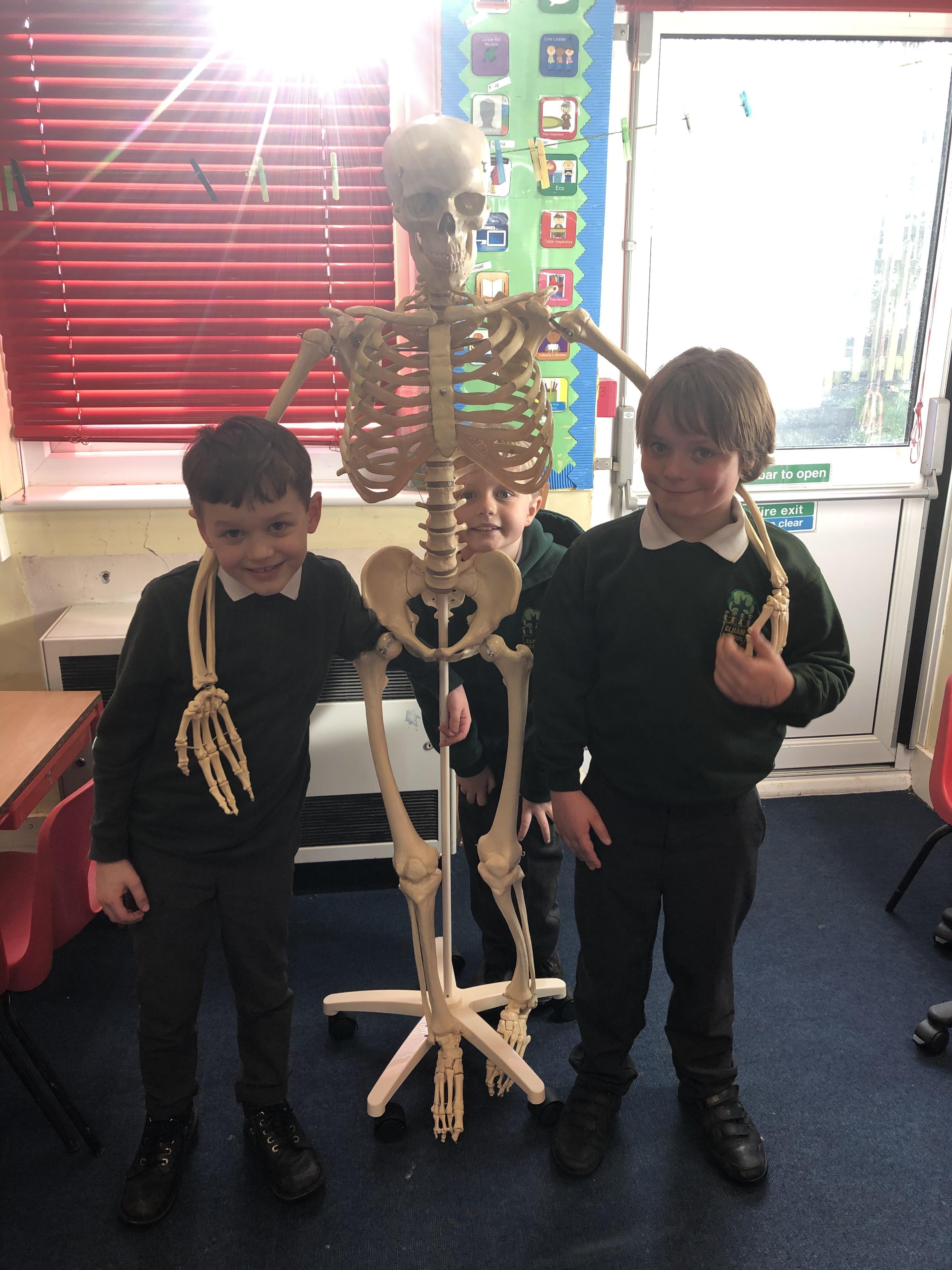He helped us to learn about the different joints and how they move. 