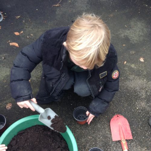 Planting our magic beans!